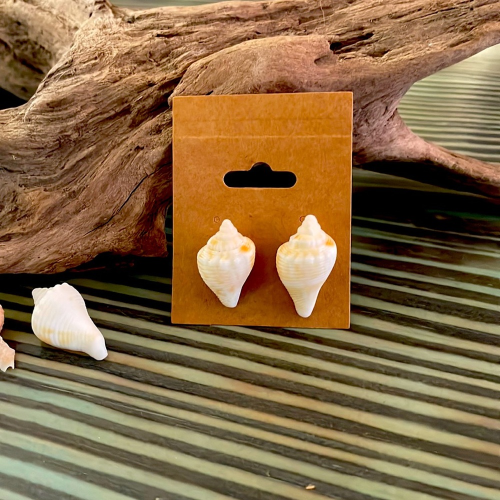 Shell Earrings